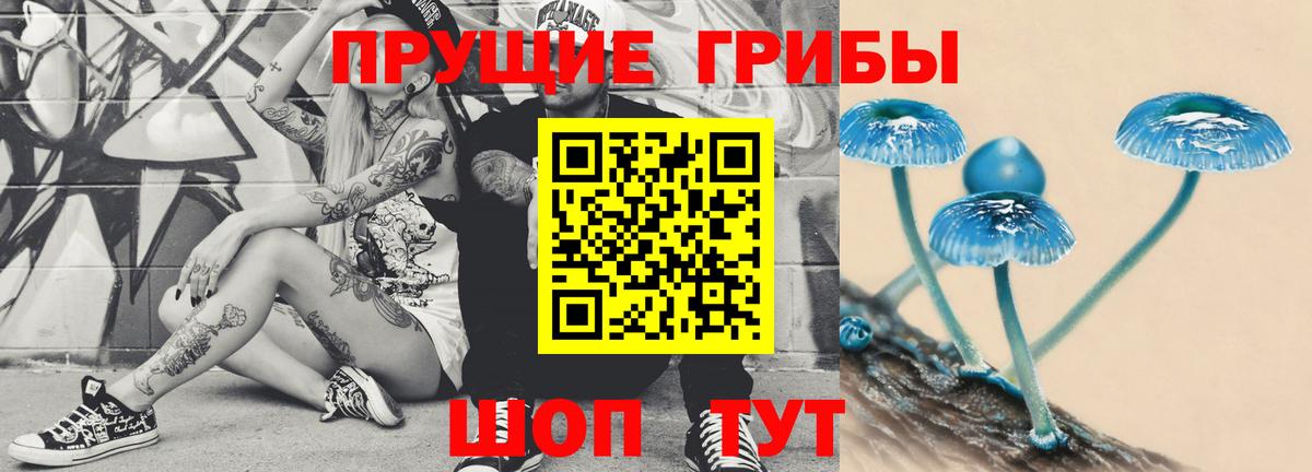 закладка  Вход с VPN  Кандалакша  Галлюциногенные грибы ЛСД 